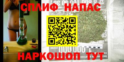 гидропоника Пугачёв