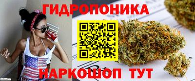 гидропоника Пугачёв