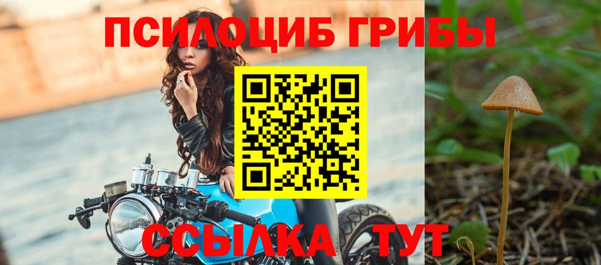 Рассказово  Псилоцибиновые грибы Psilocybine cubensis  что такое наркотик  Вход с VPN 